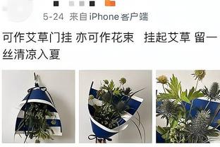 库兹马马哥的幸福生活！花是花了点 还是很活跃的